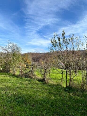 ecemi kiraye ev: 18 sot, Biznes üçün, Kupça (Çıxarış) — 4