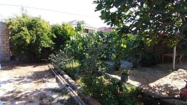 qaracuxurda ev: 130 kv. m, 3 otaqlı — 2