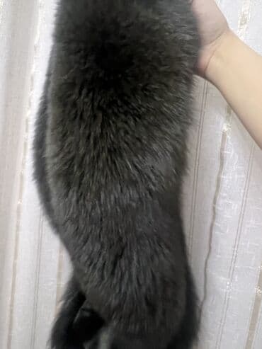 Renault: Kürk — 4