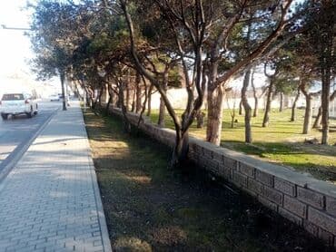 xacmazda dasinmaz əmlak: 15 sot, Mülkiyyətçi, Bələdiyyə — 8