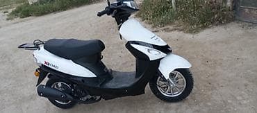 qus bazari bakida: Heyvanlar üçün digər mallar — 5