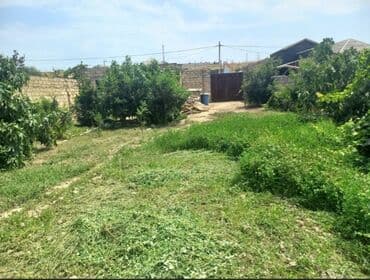 6 ci mikrorayon 1 kv luq verirəm: 6 sot, Tikinti, Mülkiyyətçi, Müqavilə — 1