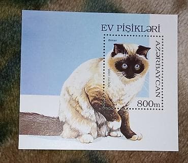 1000 manatla ne is gormek olar: Markalar biri 1 manat — 6