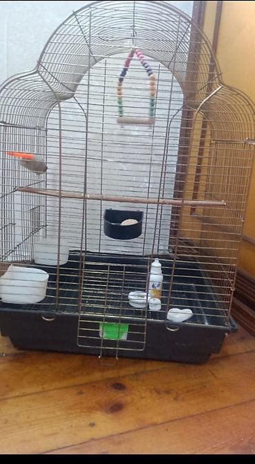 qəfəs: 📍Təcili📍Öncelikle her kese salam lazım olmadiği uçun maya deyerinden — 5