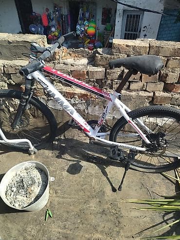 volta vsx: Şəhər və yüngül off-road üçün universal velosiped. 24 lük - — 1