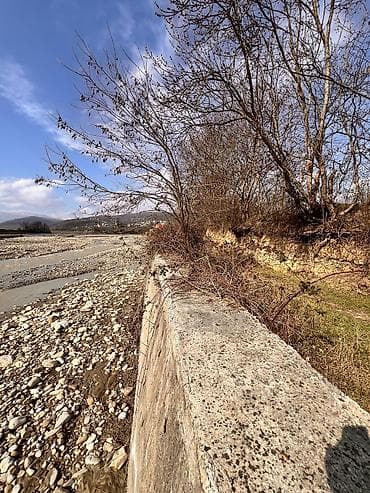 Mənzillər: Kənd təsərrüfatı — 1