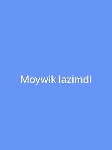 real iş elanları: Xidmət: Avtoyuma üçün işçi tələb olunur (Moyşik lazımdır) Təsvir: - — 1