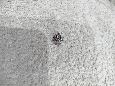 где можно продать серебро в баку: В комплекте: Кулон, Колье, Бусы, Серебро, 925 проба — 7