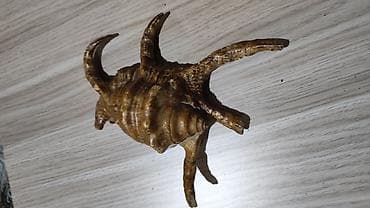 şar dekoru: Dekorativ dəniz ilbizinin qabığı – “spider conch” üslubunda - — 2