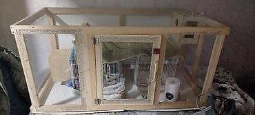 qəfəs satılır: Salam quşlar üçün yuvadır təmiz taxdadan içərisində quş yumurtlaması — 4