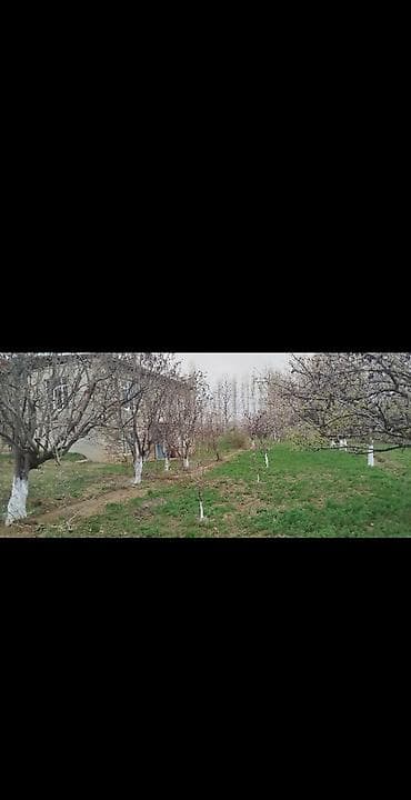 Həyət evi alıram: 4 otaqlı, 110 kv. m, Kredit yoxdur, Orta təmir — 1