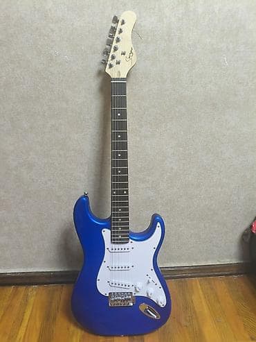 Гитары: Электрогитара — 1