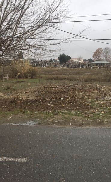 goradil torpaq: 12 sot, Kənd təsərrüfatı, Mülkiyyətçi, Kupça (Çıxarış) — 2