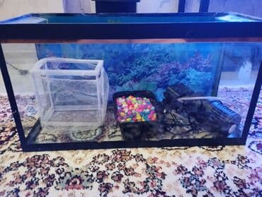 qara fon: Akvaryum komplekti - Şüşə akvaryum: düzbucaqlı forma, qara kənar — 2