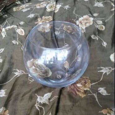 İtlər: Yumru akvarium, 3 l — 1