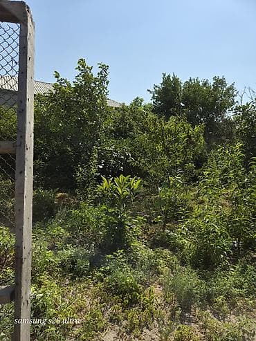 maştağada sot: Həyətyanı torpaq sahesi 4 sot yarimdir sokar poliklinka ilr uzbruz su — 4