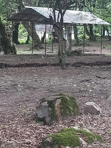 dəst mebel: Meşəlik ərazidə piknik və istirahət üçün açıq hava məkanı Təsvir: - — 8