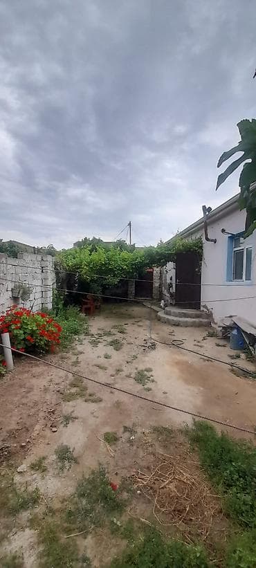 koroglu: Satılır: həyət sahəsi və köməkçi tikili - Üzüm çardağı ilə — 4