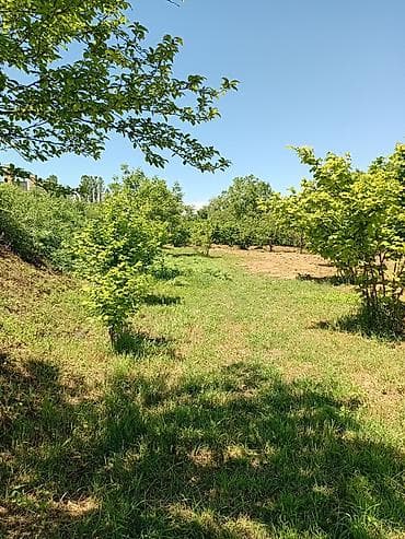 alatavada satilan evler: 4 otaqlı, 7 kv. m, Kredit yoxdur, Orta təmir — 10