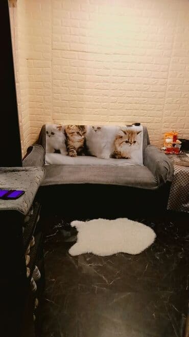 стол с зеркалом: Açılan, 4 qapılı Düz dolab, Dolab-asılqan — 3