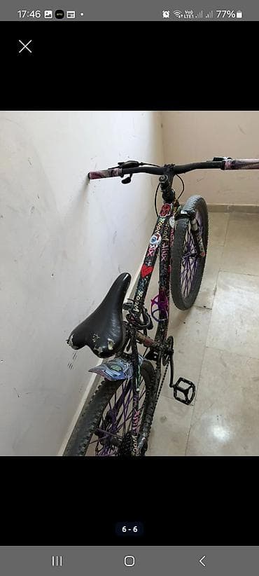 velsebedler: Şəhər və park sürüşləri üçün tək sürət (single-speed) velosiped — 1