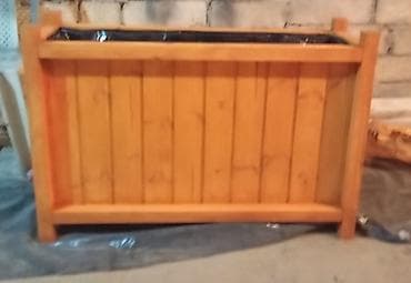 Саженцы деревьев: 100x30x50dipcek Bitki elave hesablanir Bitkinin hundurluyu 60-70sm — 4