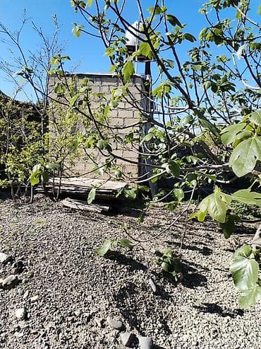 3 otaqlı mənzillərin satışı: 2 otaqlı, 35 kv. m, Kredit yoxdur, Orta təmir — 6