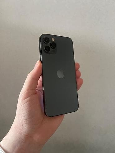 IPhone 12 Pro, 128 GB, Graphite, Face ID