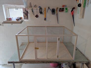 dovşa: Papuqay,dovşan,hamster,şinşila,bildirçin,cücə,xamyak,pişik,quş,tısbağa — 2