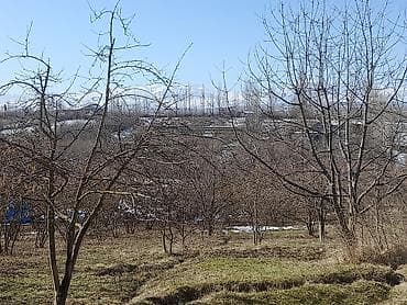 sarayda kreditle evler: 12 sot, Tikinti, Mülkiyyətçi, Bələdiyyə — 7