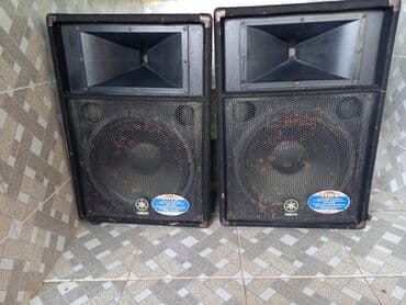 soyuducu işləmiş: İki ədəd Yamaha akustik sistemi və Dynacord PowerMate 1000 mikser — 1