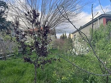 Salam.4.5 sot merkezi yoldan 2 deqiqelik mesafede asfalt — 4
