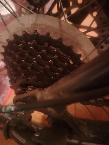 vesebet 29: Salam görduyunuz velosiped satlır təcili pul lazımdı diye satılır — 2