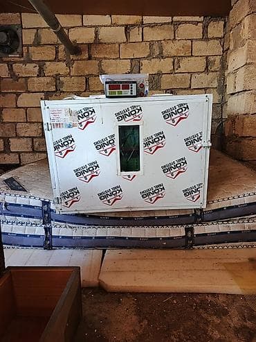 Quş yumurtaları üçün avtomatik inkubator - Korpus: izolyasiyalı lalafo.az -da Quş yumurtaları üçün avtomatik inkubator - Korpus: izolyasiyalı
