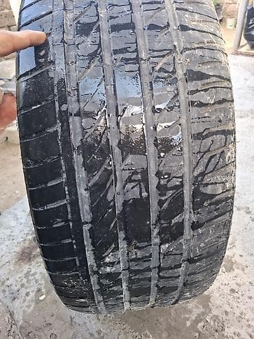 passat disk: Avtomobil təkəri - Növ: Yay/performans tipli, asimmetrik protektor — 1