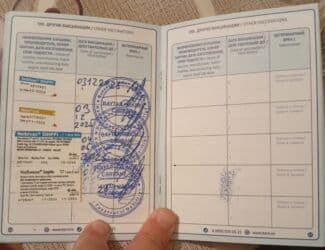 guclu itler: Rotveyler, 10 ay, Erkek, Sənədli, Ünvandan götürmə — 4