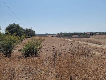 что такое şahdağ i̇stirahət evi nabran: 28 соток, Для сельского хозяйства, Купчая — 3