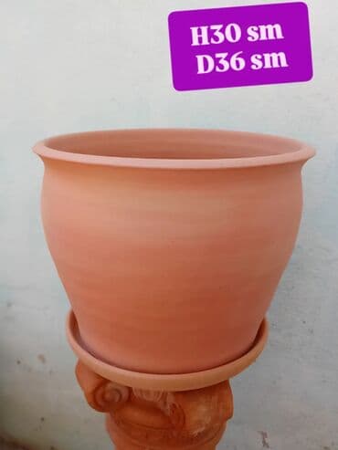 ikinci el sukute: BÖYÜK GÜL QABLAR ÜNVAN XIRDALAN #DİBÇEK #bağ evi #heyet #həyət — 1