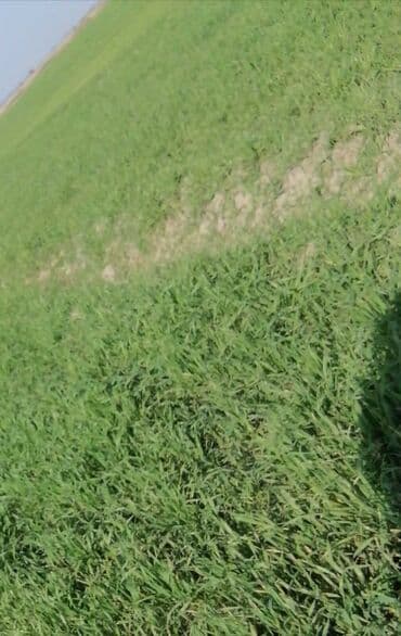 купить дом в баку гарачухур: Kənd təsərrüfatı, Mülkiyyətçi, Kupça (Çıxarış) — 1