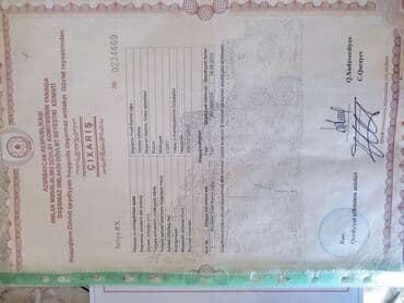 qobuda kirayə ev: 5 otaqlı, 134 kv. m, Orta təmir — 2