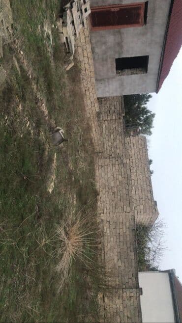 mərdəkanda torpaq: 13 sot, Tikinti, Makler, Kupça (Çıxarış) — 6