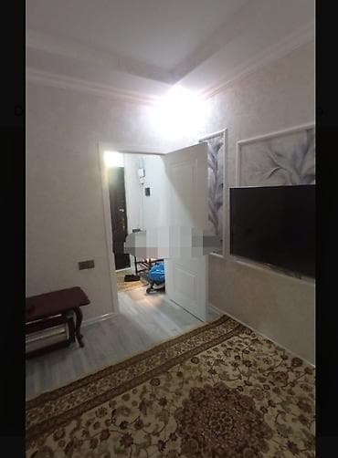 20 ci sahede satilan evler 2024: 25 kv. m, 1 otaqlı — 2