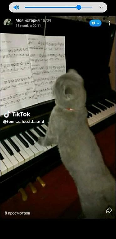 Piano, Akustik, İşlənmiş, Ünvandan götürmə