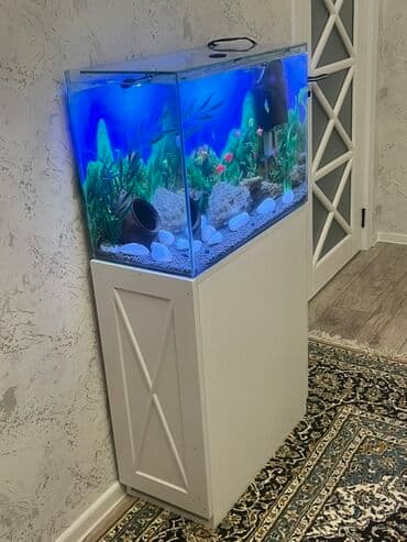 qus yuvasi duzeltmek: Akvarium-şkaf, Balıqlarla birlikdə, 90 l, Ödənişli çatdırılma — 1