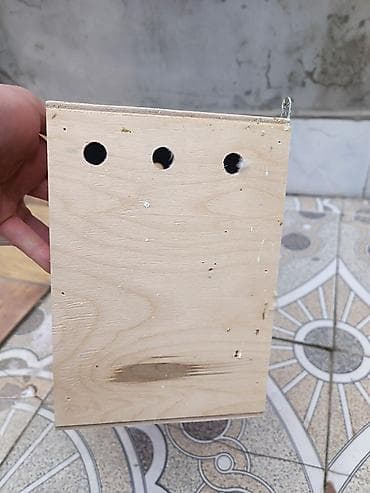 Yuvalar: Məhsul: Taxta quş yuvası/küçük quşlar üçün yuvalama qutusu Təsvir: - — 6