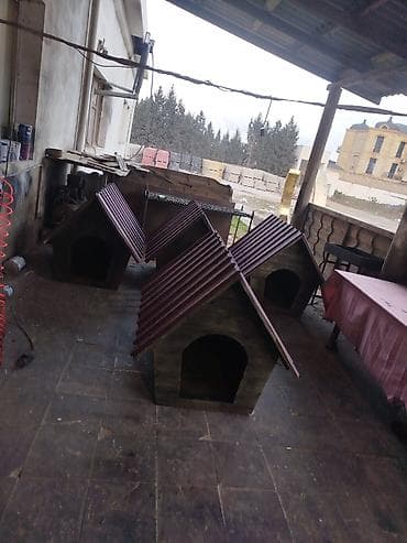 it domikleri: It yuvaları.sifarişdə qəbul olunur. 1 metrlikdi.böyük ölçülü itlər — 2