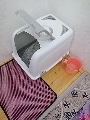 pişik alıram: Salam pişiyim böyüdüyü üçün tam sığmır. O üzden satıram. Yeni kimidir — 4