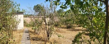 xacmaz evlər: 46 соток, Для сельского хозяйства, Собственник, Купчая — 7