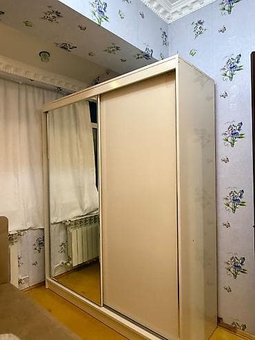skaflar: İşlənmiş, 2 qapılı, Güzgülü, Bej, Kupe, Düz dolab — 1