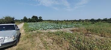 Продажа участков: Для сельского хозяйства — 4